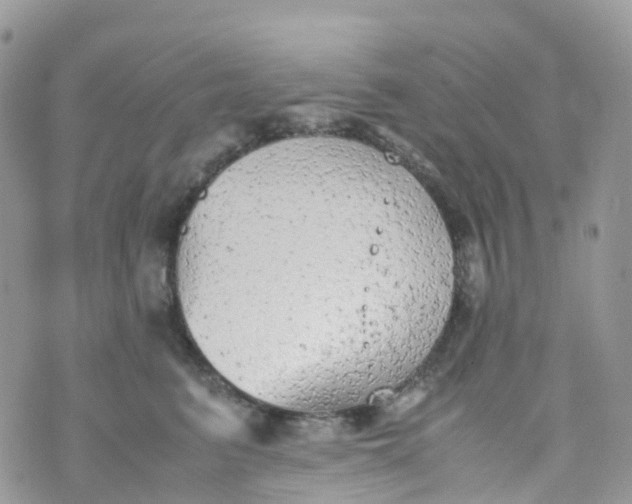 X0000070390615200606301948