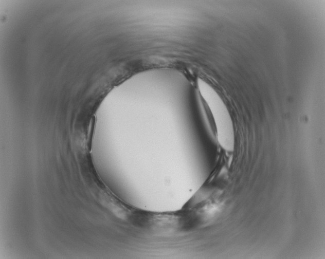 X0000070390617200606301948