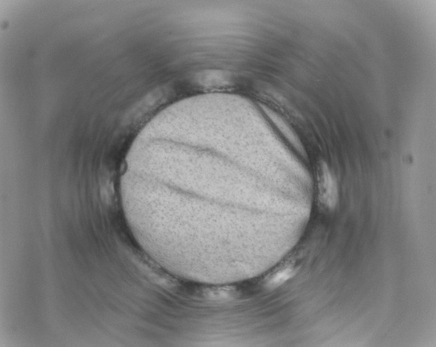 X0000070390618200606301948