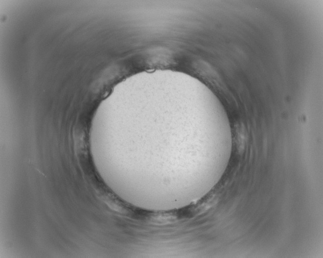 X0000070390619200606301948