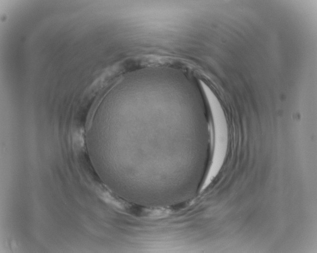 X0000070390621200606301948