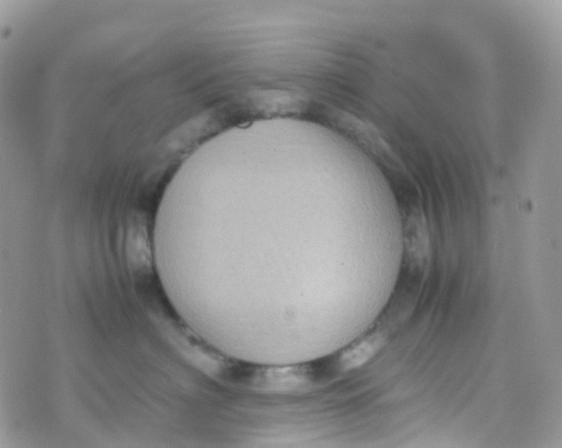 X0000070390622200606301948