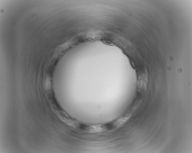 X0000070390623200606301948