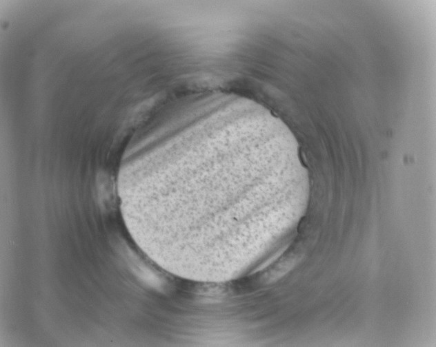 X0000070390624200606301948