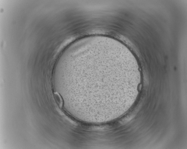 X0000070390625200606301947