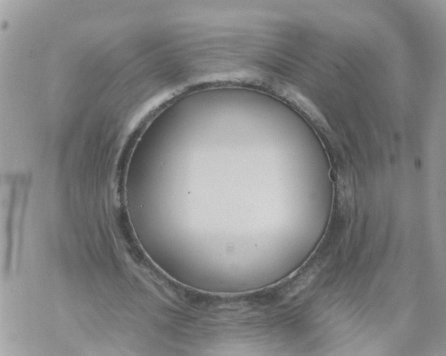 X0000070390628200606301947