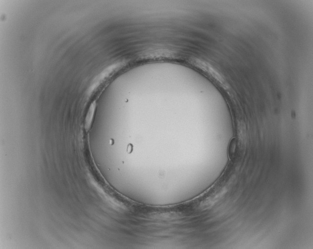 X0000070390629200606301947