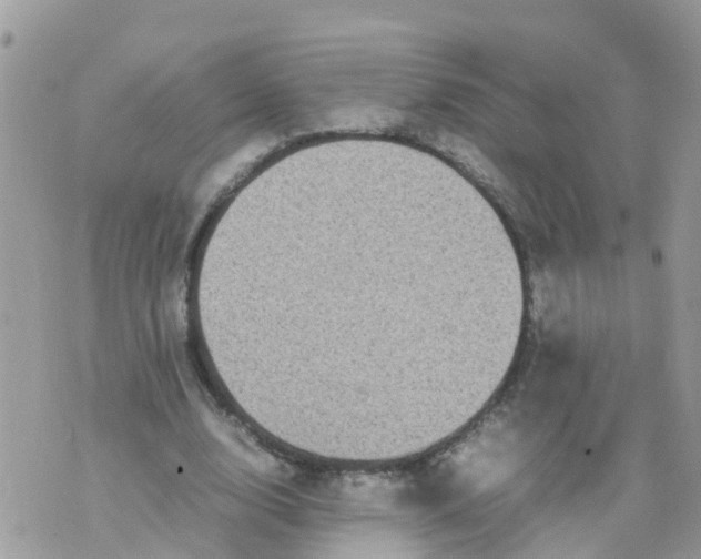 X0000070390632200606301947