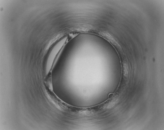 X0000070390634200606301947