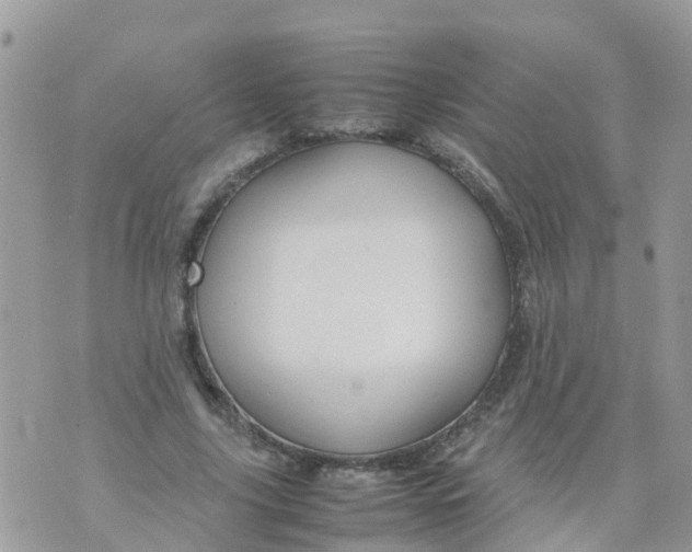 X0000070390635200606301947