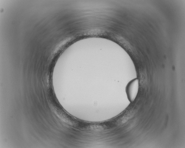 X0000070390636200606301947