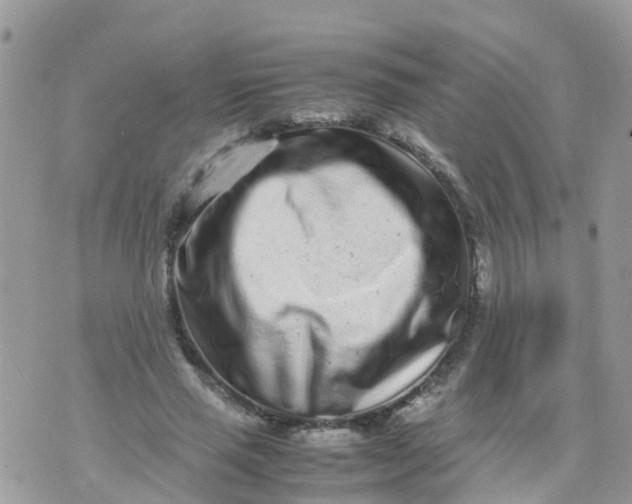 X0000070390637200606301947