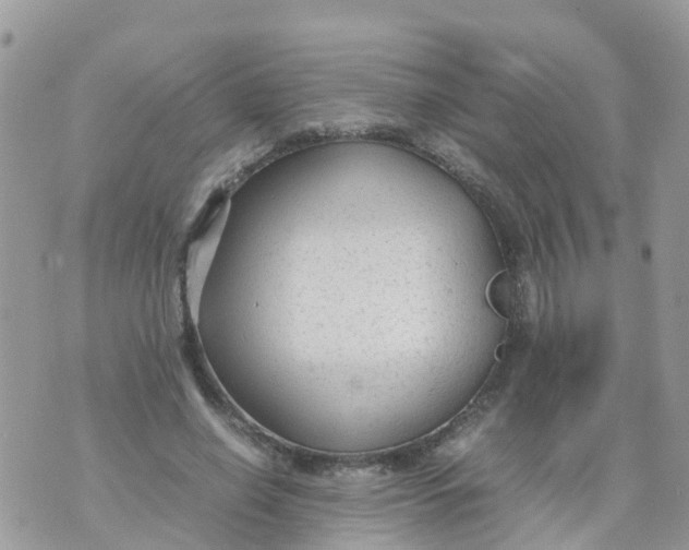 X0000070390638200606301947