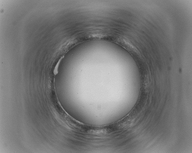 X0000070390639200606301947