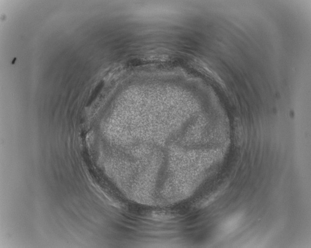 X0000070390641200606301947