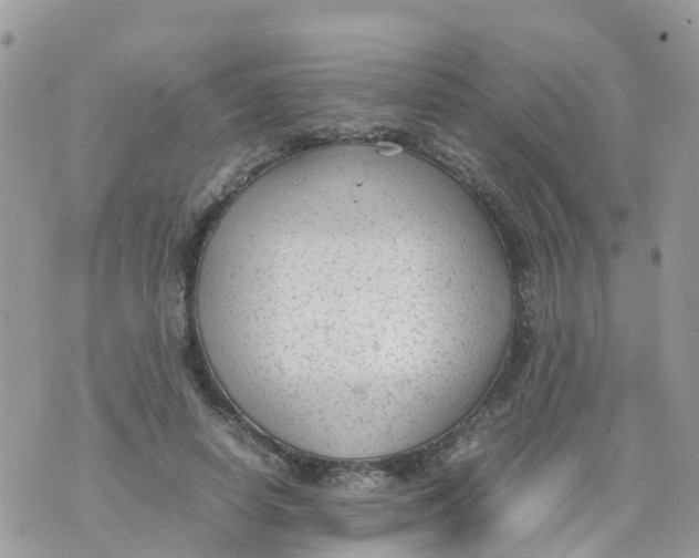 X0000070390642200606301947