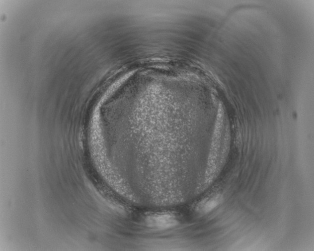 X0000070390643200606301947