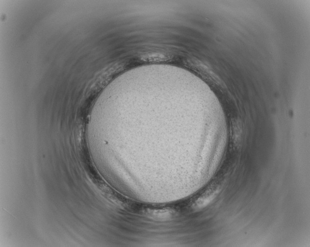 X0000070390645200606301947