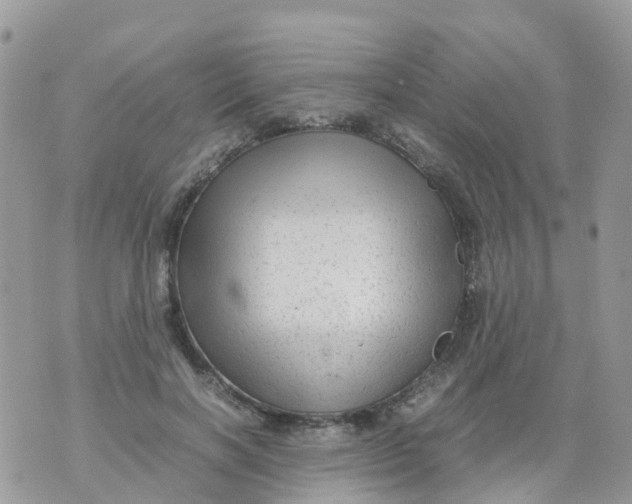 X0000070390646200606301947