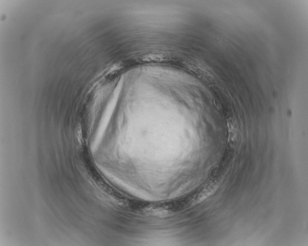 X0000070390648200606301947