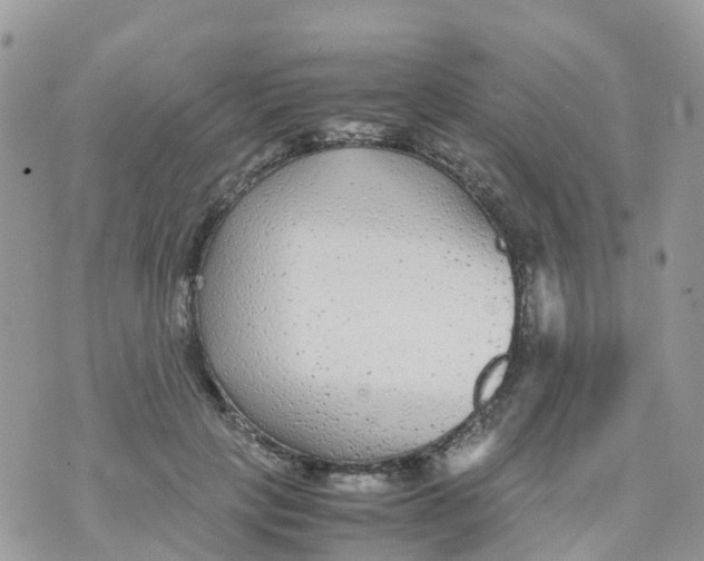 X0000070390649200606301947