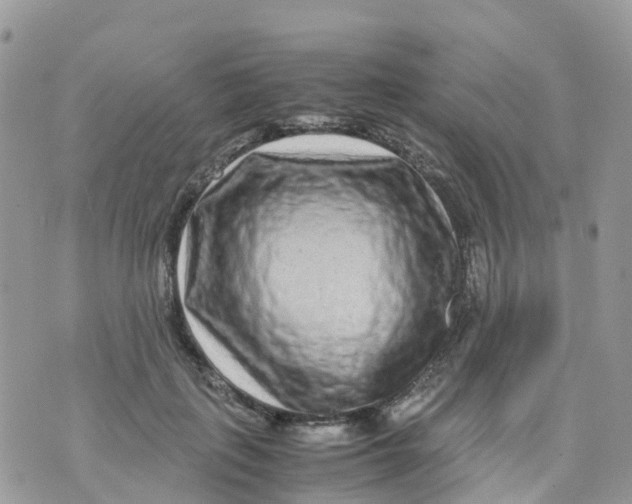 X0000070390651200606301947