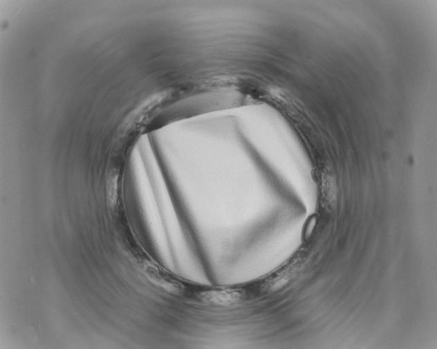 X0000070390652200606301947