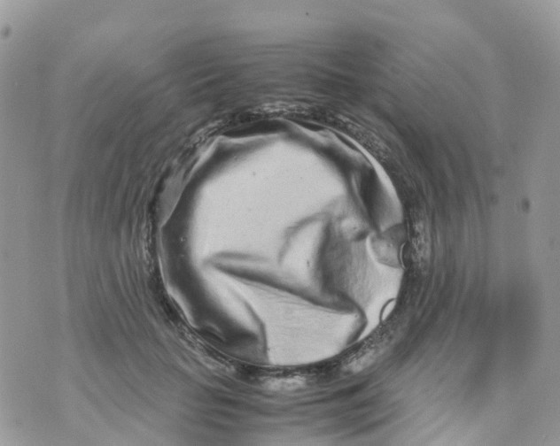 X0000070390653200606301947