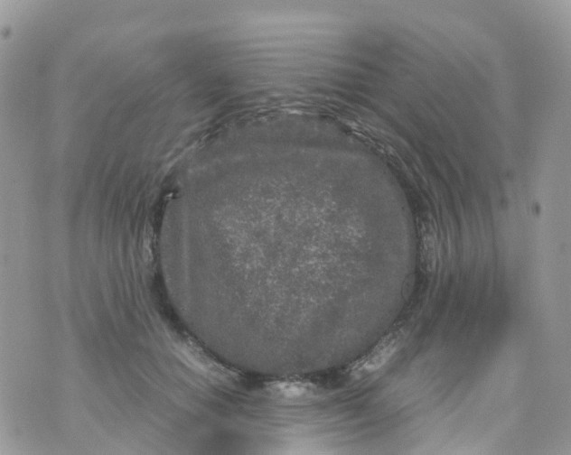 X0000070390654200606301947