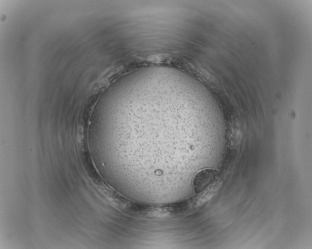 X0000070390656200606301947