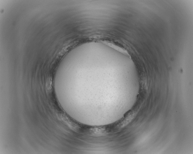 X0000070390660200606301947