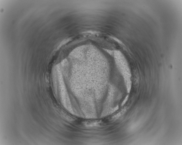 X0000070390661200606301947