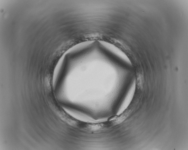 X0000070390662200606301947