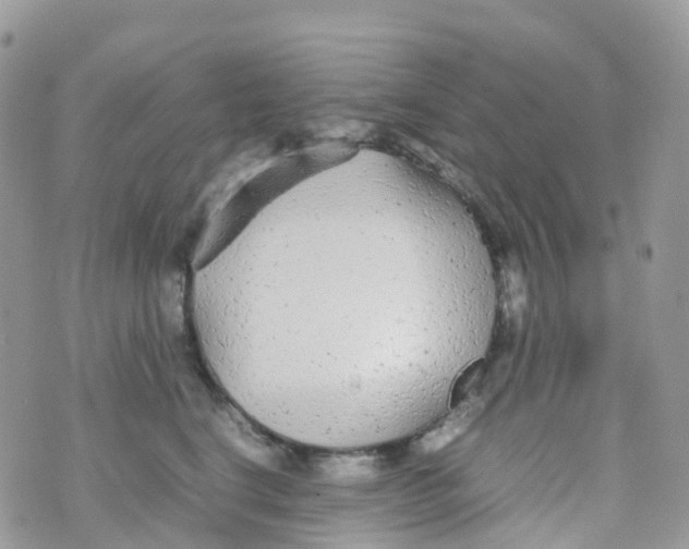 X0000070390664200606301947