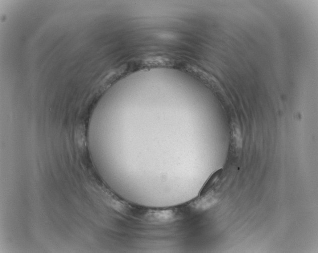 X0000070390665200606301948