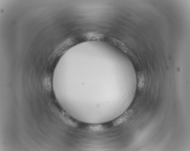 X0000070390666200606301948