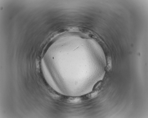 X0000070390667200606301948