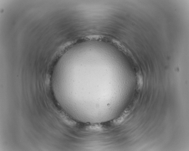 X0000070390668200606301948