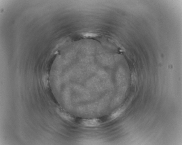 X0000070390671200606301948