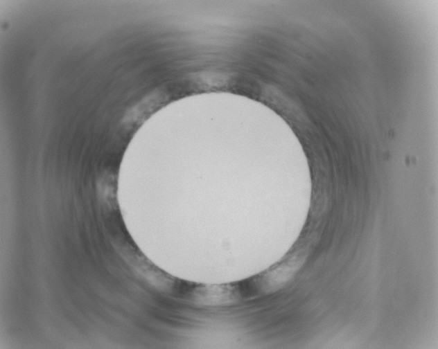 X0000070390672200606301948