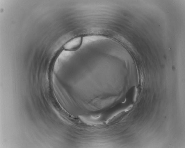 X0000070390674200606301947