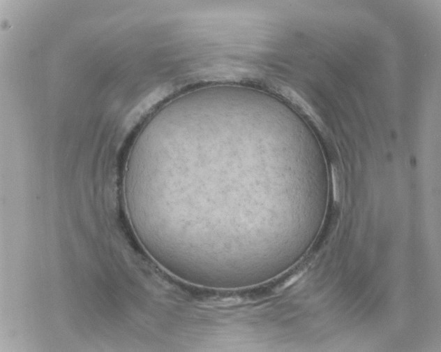 X0000070390675200606301947