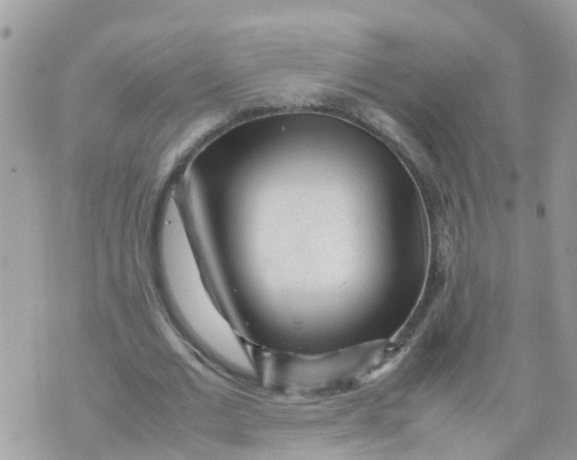 X0000070390677200606301947