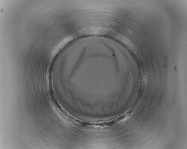 X0000070390678200606301947