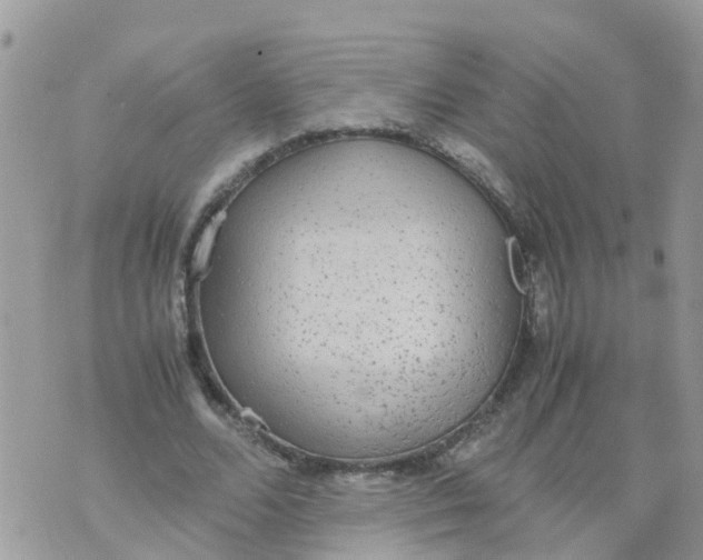 X0000070390680200606301947