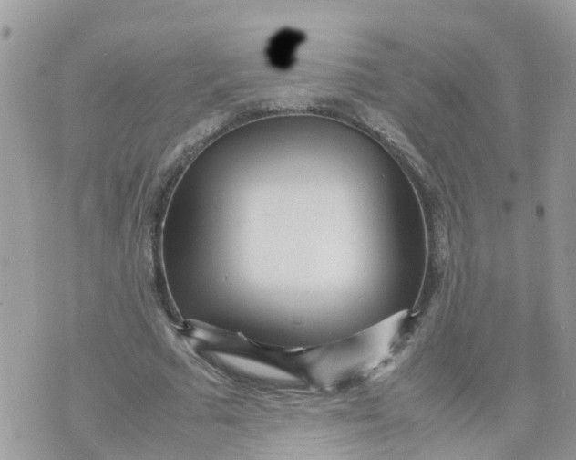 X0000070390681200606301947