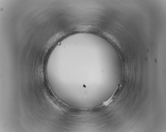 X0000070390682200606301947