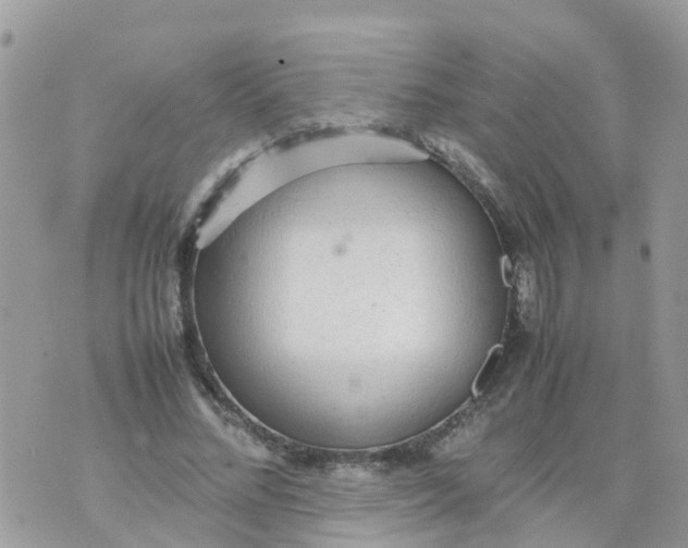 X0000070390684200606301947