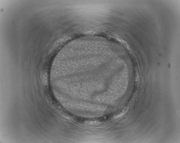 X0000070390689200606301947