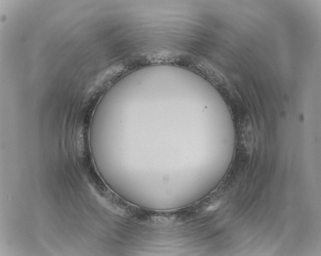 X0000070390690200606301947